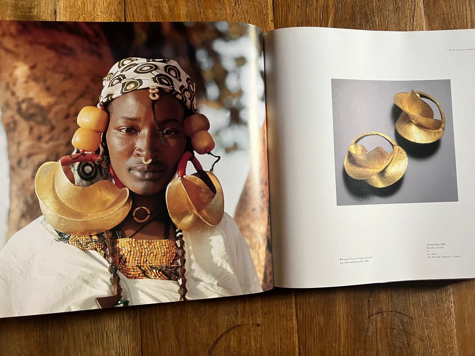 Chefs-d'oeuvres de l'Art Africain - Ivan Bargna - 2011 | Analyse approfondie par Ivan Bargna, anthropologue reconnu et spécialiste de l'art africain, offrant un contexte culturel et historique précieux | Aufildeslivres.fr