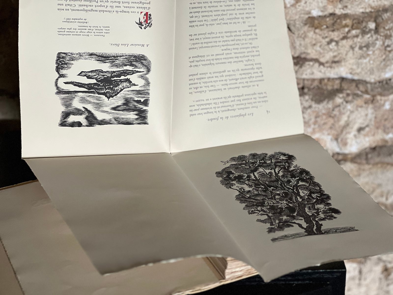 Histoires insolites & Contes - Auguste de Villiers de l'Isle-Adam - 1954 | Villiers de l'Isle-Adam, figure tutélaire du symbolisme et précurseur de la science-fiction, est un auteur dont la cote sur le marché du livre rare est en progression constante — posséder une édition de prestige illustrée de ses Histoires insolites constitue une acquisition à forte valeur patrimoniale. | Aufildeslivres.fr