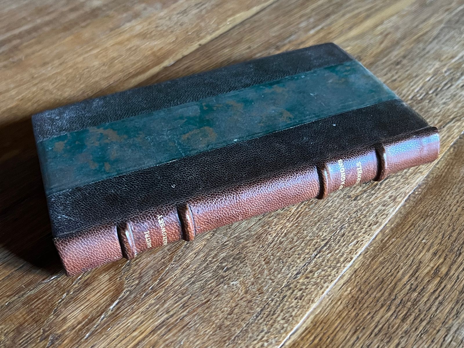 Compagnons Éternels - Dmitri Mérejkowsky - 1922 | Exemplaire provenant de la bibliothèque de Sylvain Sauvage, célèbre graveur et illustrateur français de l'entre-deux-guerres | Aufildeslivres.fr