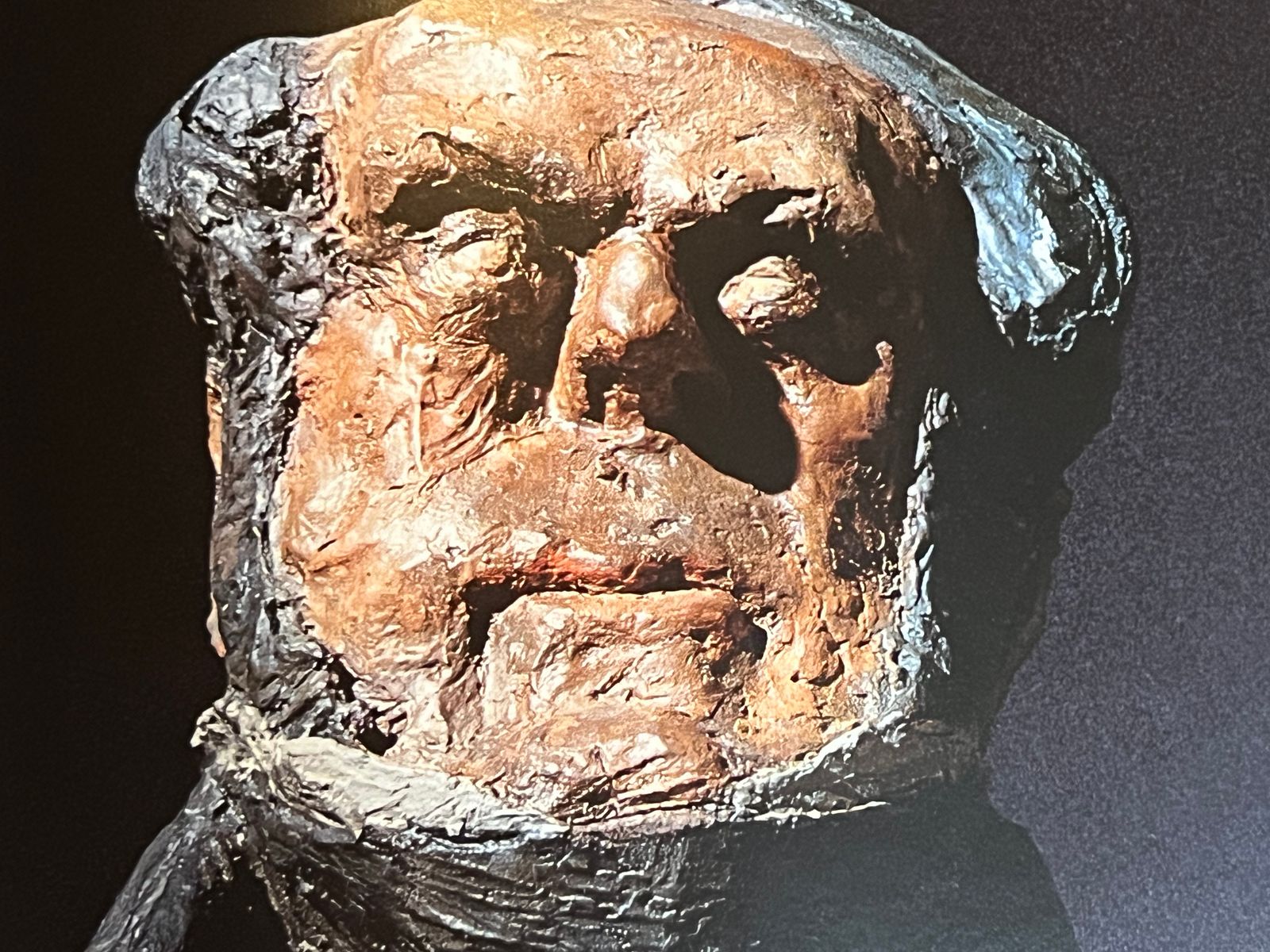 Daumier, les bustes des parlementaires - Pierre Cabanne, Michèle Gregori, Michel Leduc - 1980 | Les bustes-charges immortalisent figures politiques et moeurs du XIXe siècle | Aufildeslivres.fr