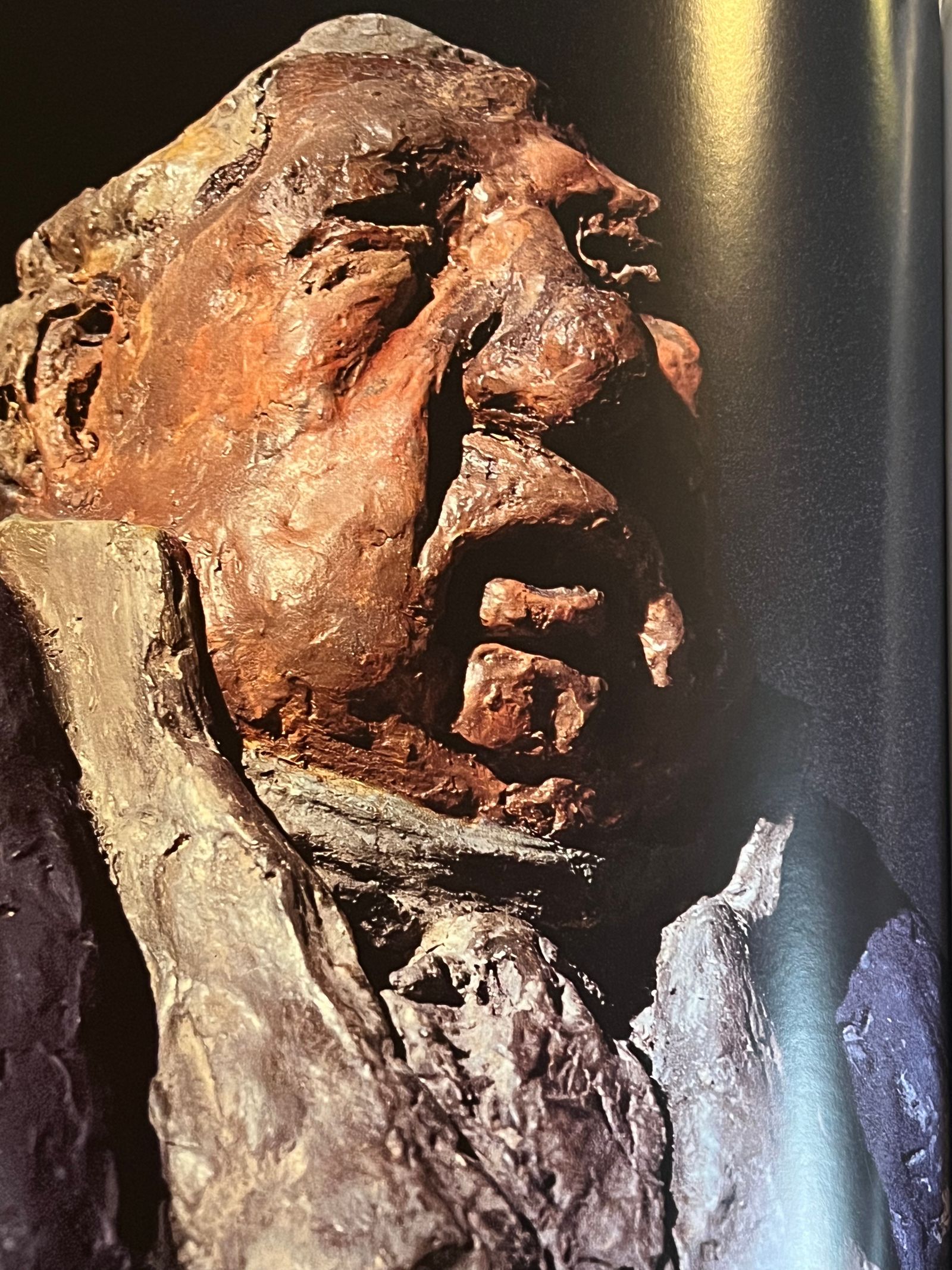 Daumier, les bustes des parlementaires - Pierre Cabanne, Michèle Gregori, Michel Leduc - 1980 | Textes d'historiens d'art renommés (Cabanne, Gregori, Leduc) | Aufildeslivres.fr