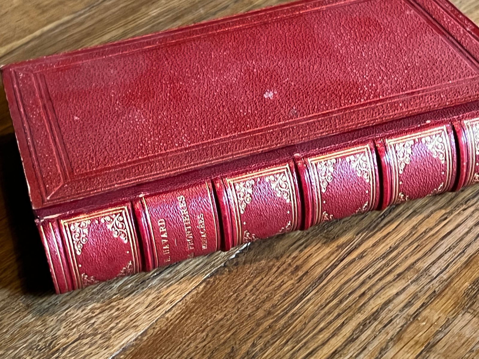 La Hollande Pittoresque - Les Frontières Menacées - Henry Havard - 1877 | Édition originale de 1877 par la prestigieuse maison d'édition E. Plon et Cie, éditeur de référence pour les ouvrages illustrés | Aufildeslivres.fr