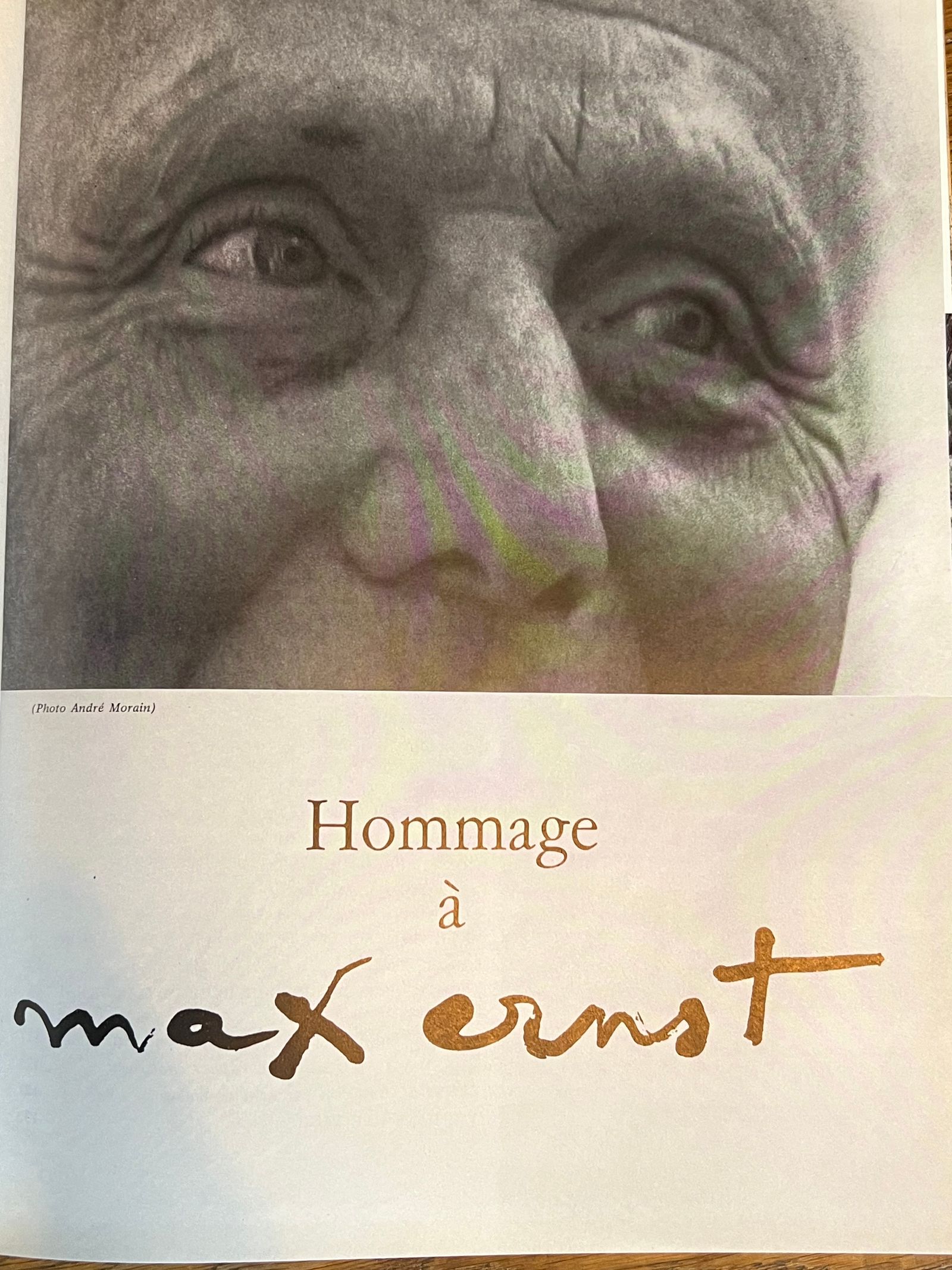 Hommage à Max Ernst - Loni Pretzell, Lothar Pretzell - 1971 | Publié par Loni et Lothar Pretzell, galeristes allemands importants et proches de l'artiste | Aufildeslivres.fr
