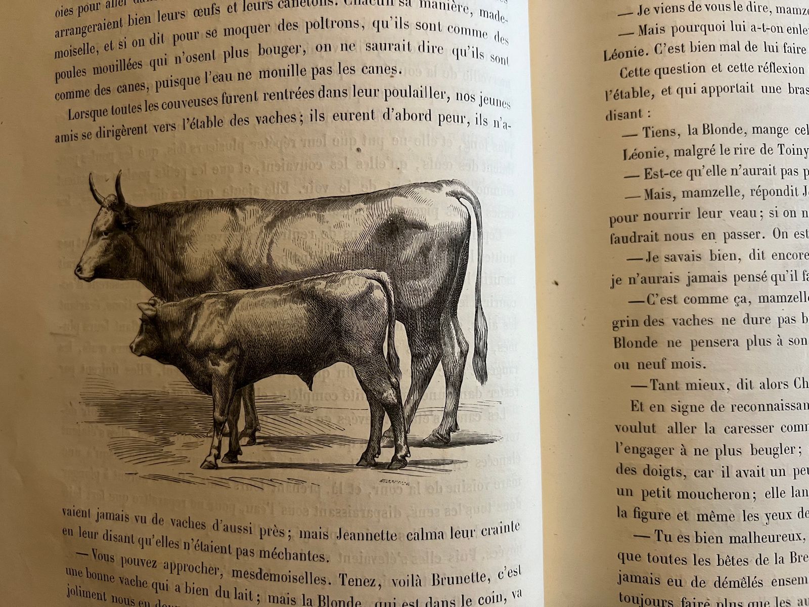 Maison Rustique des Enfants - Mme Millet-Robinet - 1850 | Impression parisienne de qualité par l'établissement Simon Raçon et Compagnie, imprimeurs réputés de l'époque | Aufildeslivres.fr