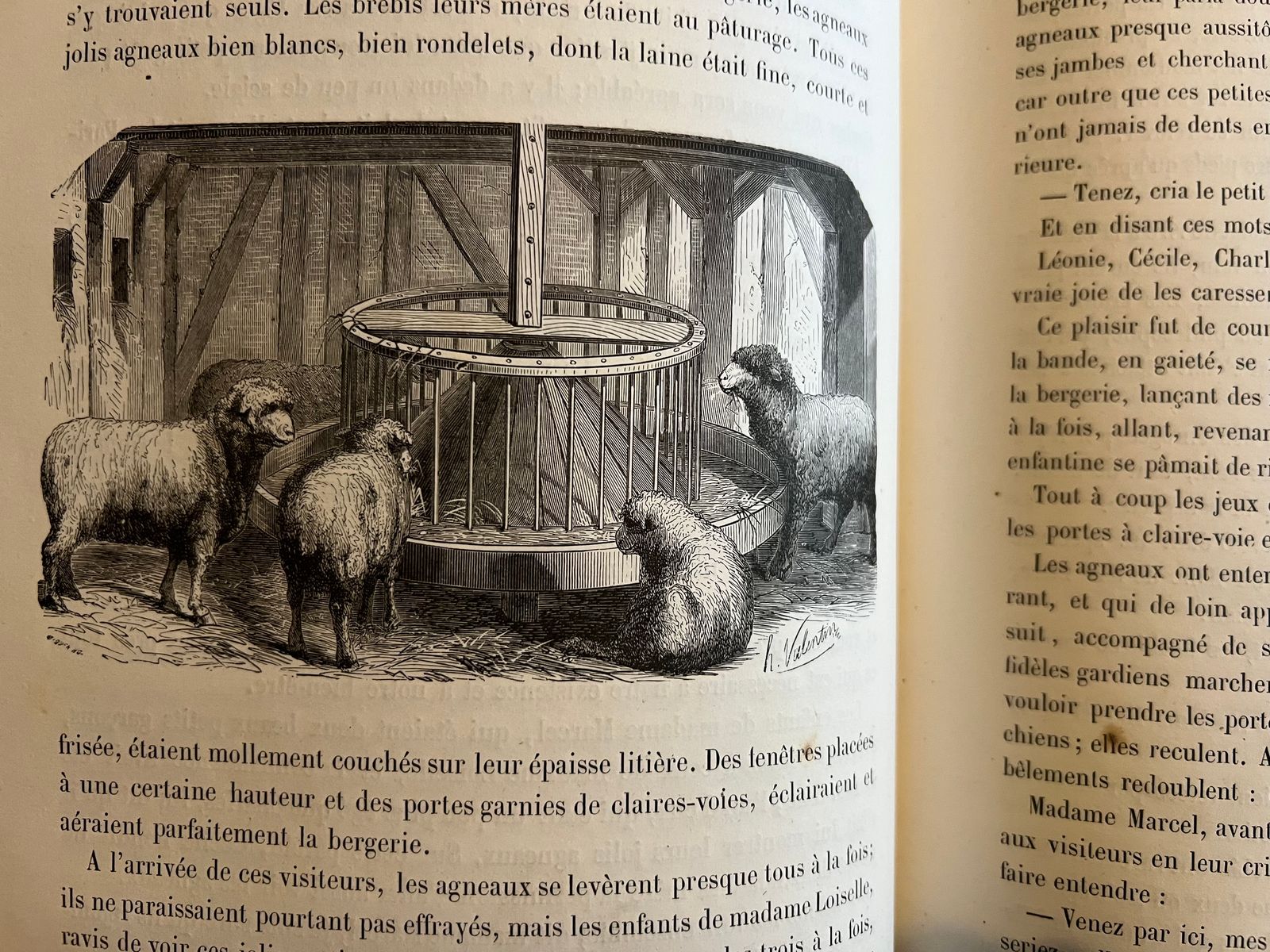 Maison Rustique des Enfants - Mme Millet-Robinet - 1850 | Témoignage précieux de la transmission des savoirs agricoles et domestiques aux jeunes générations au XIXe siècle | Aufildeslivres.fr