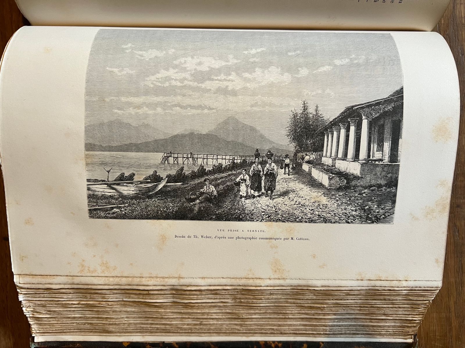 Nouvelle Géographie Universelle – Océans et Terres Océaniques - Élisée Reclus - 1889 | Le volume consacré aux Océans et Terres Océaniques est l'un des plus rares et des plus recherchés de la série, traitant de territoires insulaires et maritimes qui fascinaient les lecteurs de l'ère des grandes explorations et de la colonisation | Aufildeslivres.fr