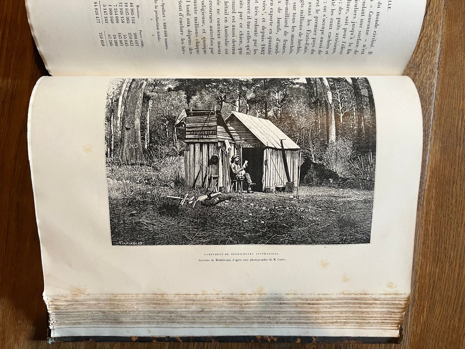 Nouvelle Géographie Universelle – Océans et Terres Océaniques - Élisée Reclus - 1889 | Témoignage intellectuel et scientifique irremplaçable sur la manière dont la fin du XIXe siècle concevait, décrivait et classifiait le monde océanique, à l'apogée de la géographie positiviste française | Aufildeslivres.fr