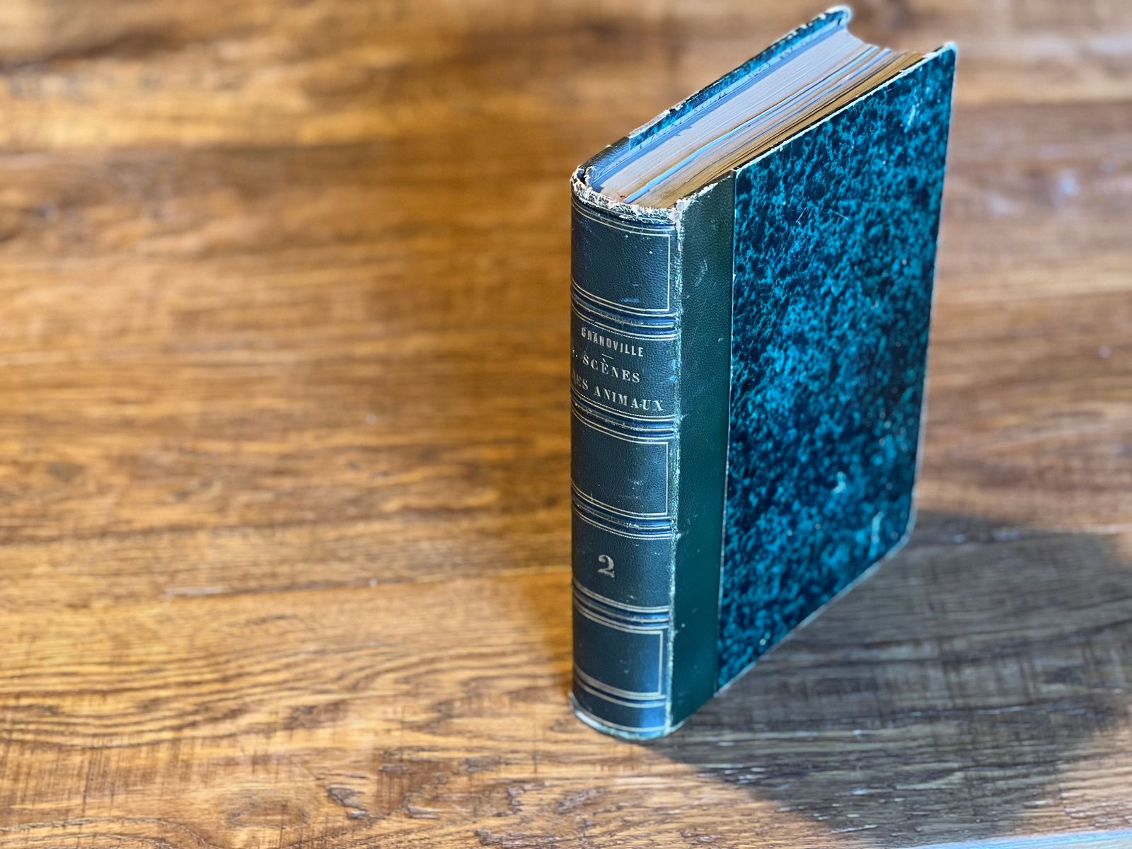 Scènes de la vie privée et publique des animaux - Tome II - Grandville - 1842 | Illustrations originales et gravures de qualité | Aufildeslivres.fr