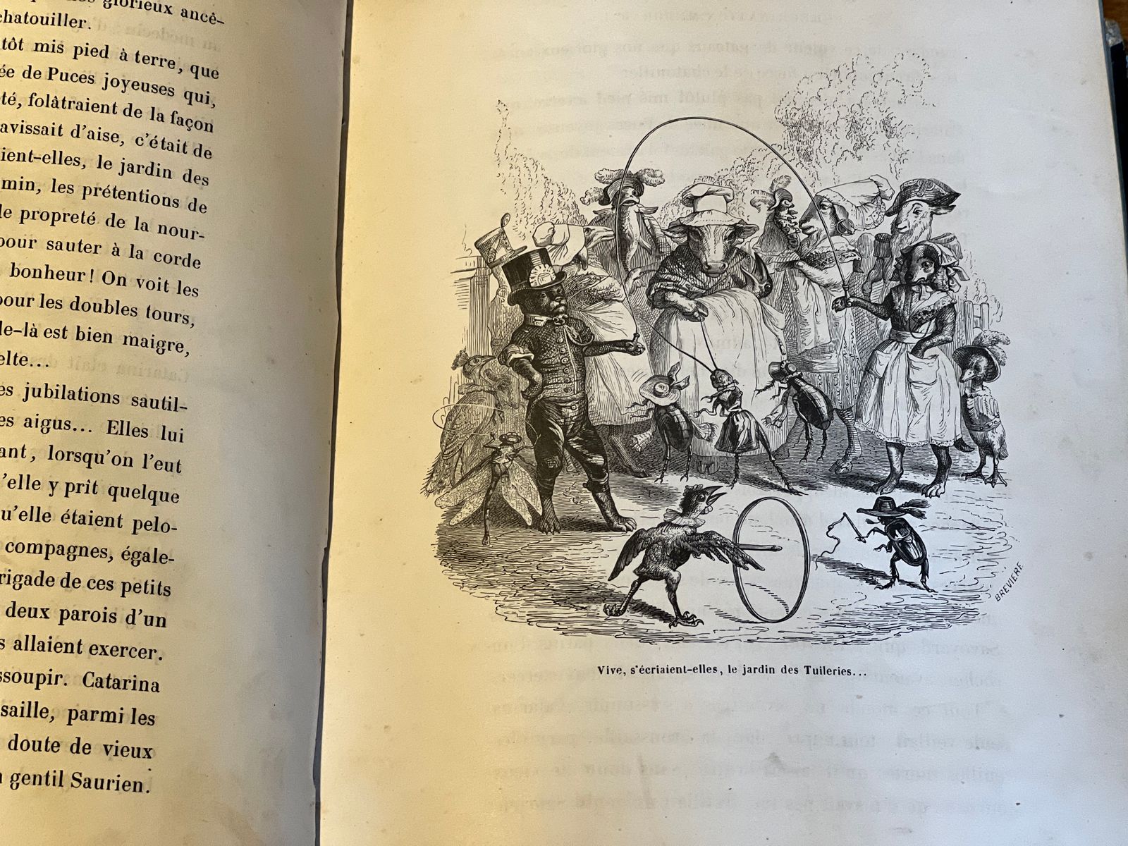 Scènes de la vie privée et publique des animaux - Tome II - Grandville - 1842 | Une lecture universelle et intemporelle | Aufildeslivres.fr