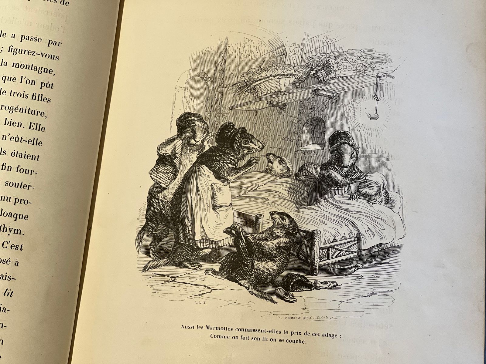 Scènes de la vie privée et publique des animaux - Tome II - Grandville - 1842 | Une œuvre emblématique de Grandville | Aufildeslivres.fr