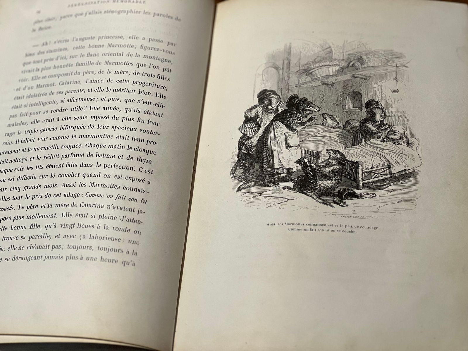 Scènes de la vie privée et publique des animaux - Tome II - Grandville - 1842 | Une œuvre emblématique de Grandville | Aufildeslivres.fr