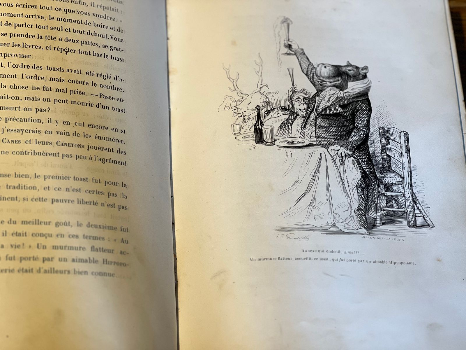 Scènes de la vie privée et publique des animaux - Tome II - Grandville - 1842 | Rareté et édition originale | Aufildeslivres.fr