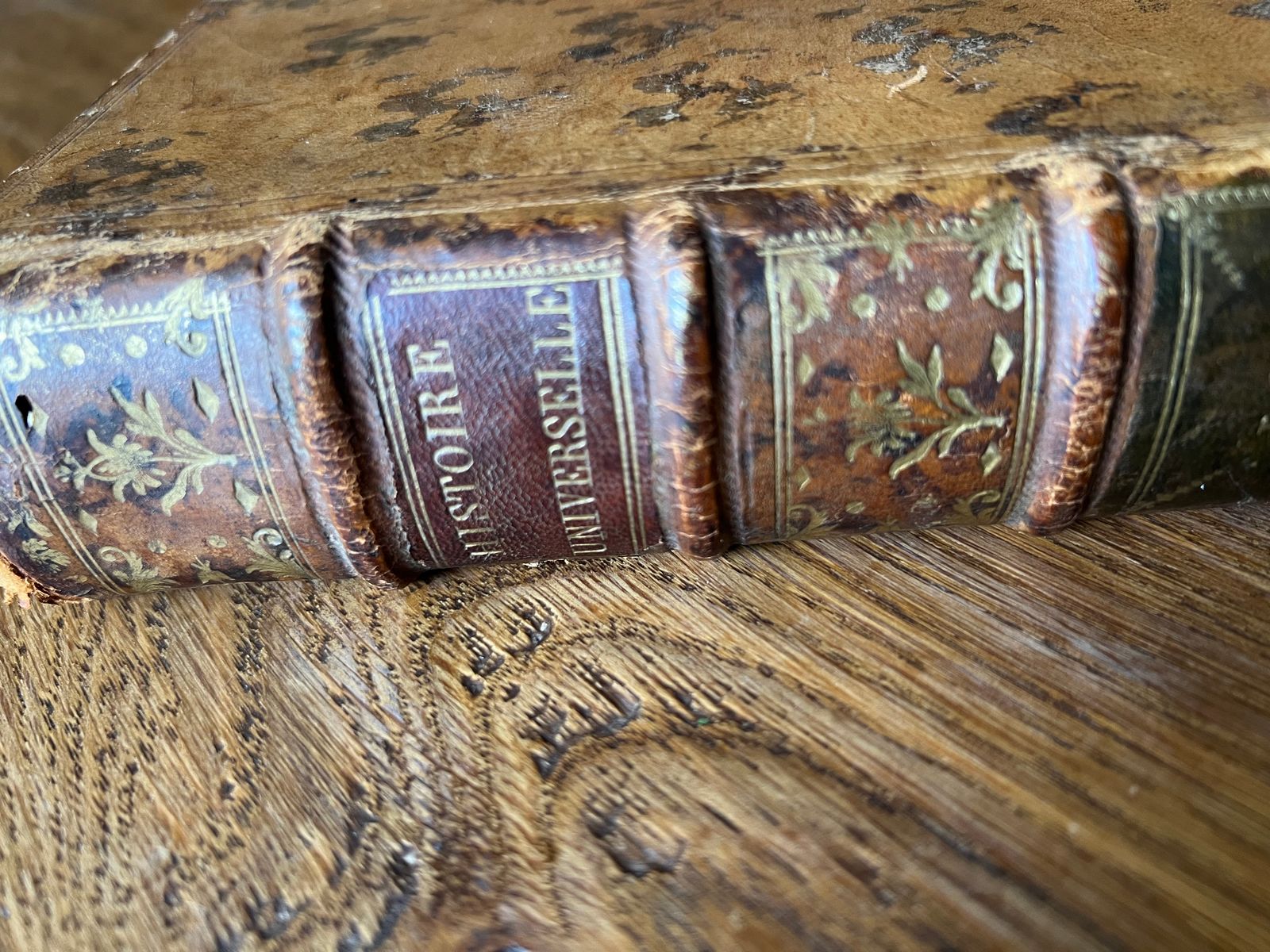 Histoire Universelle - Tome XVI - Une société de gens de lettres - 1790 | Un Récit Dramatique : De la Gloire à la Chute | Aufildeslivres.fr