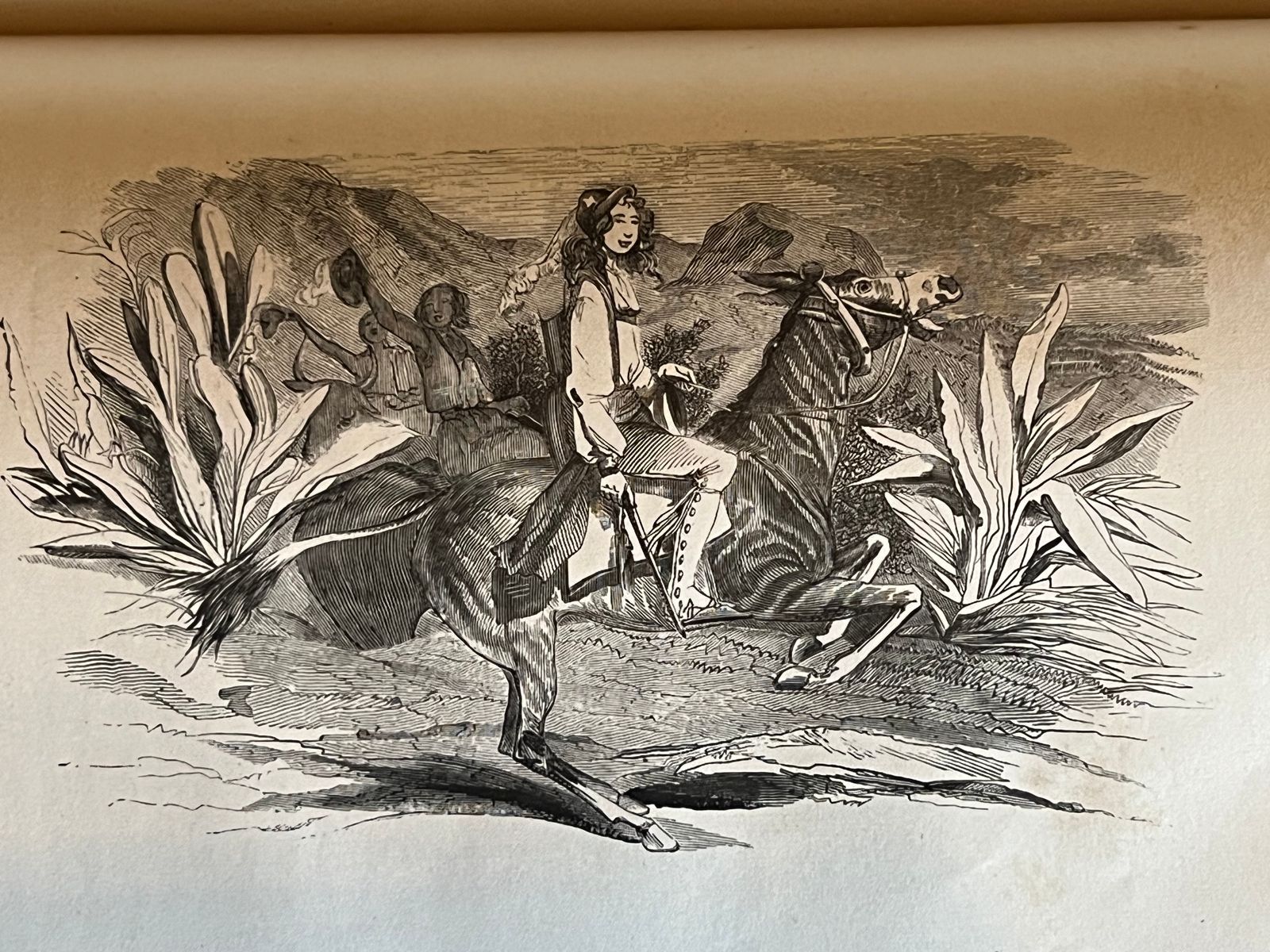 Le Robinson Suisse - Johann David Wyss - 1890 | Édition Garnier Frères de 1890, maison d'édition parisienne réputée pour la qualité de ses publications littéraires | Aufildeslivres.fr