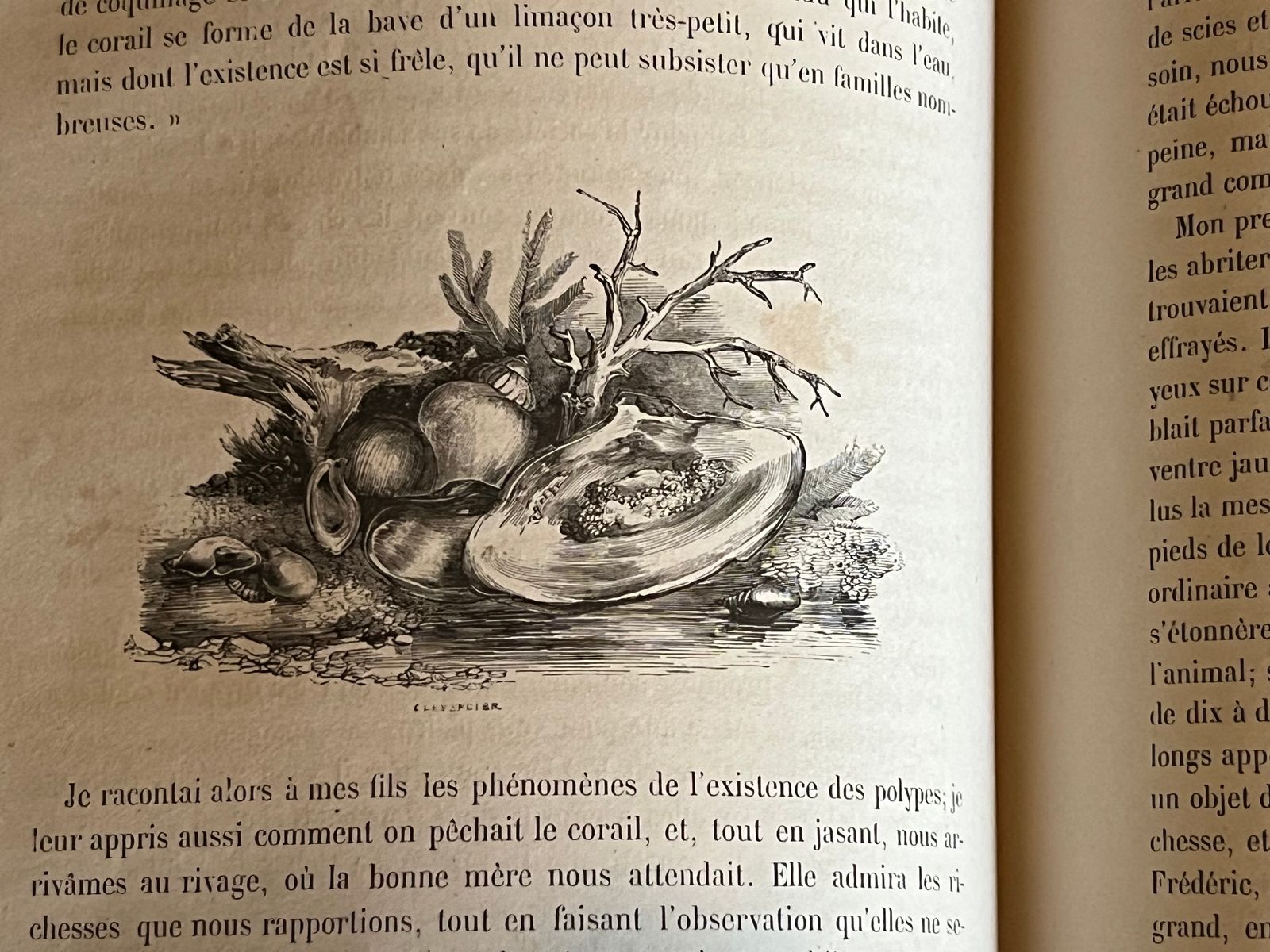 Le Robinson Suisse - Johann David Wyss - 1890 | Couverture rigide en excellent état de conservation, témoignant du soin apporté à cette édition de collection | Aufildeslivres.fr