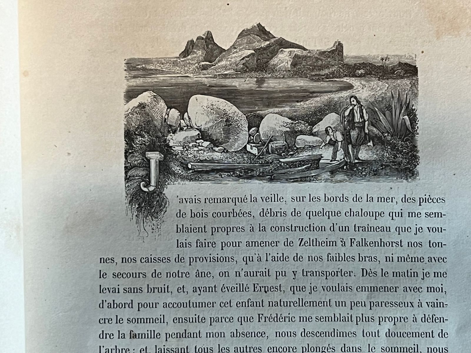 Le Robinson Suisse - Johann David Wyss - 1890 | Édition illustrée exceptionnelle avec 200 vignettes dessinées par Charles Lemercier, artiste lithographe renommé du XIXe siècle | Aufildeslivres.fr