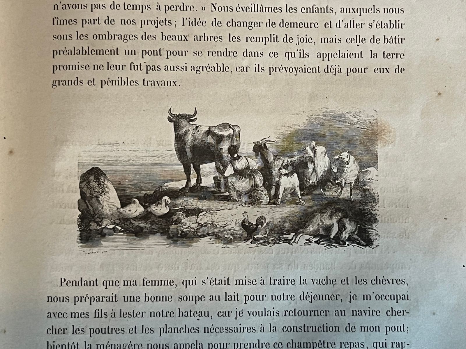 Le Robinson Suisse - Johann David Wyss - 1890 | Traduction française par Élise Volart, considérée comme l'une des meilleures adaptations du classique de Wyss | Aufildeslivres.fr