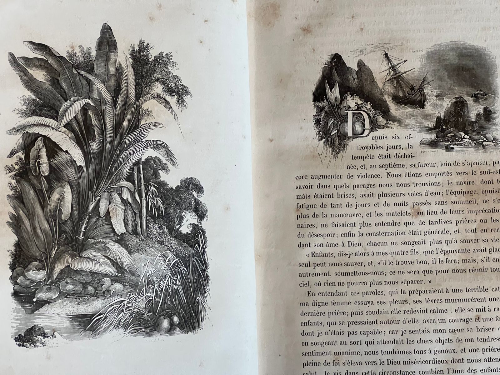 Le Robinson Suisse - Johann David Wyss - 1890 | Préface prestigieuse de Charles Nodier, célèbre bibliophile et homme de lettres français, directeur de la Bibliothèque de l'Arsenal | Aufildeslivres.fr
