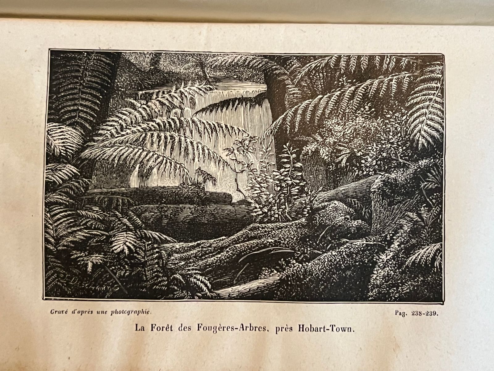 Voyage autour du monde - Australie - Pékin, Yeddo - Java, Siam, Canton - Ludovic de Beauvoir - 1878 | Édition originale publiée par la prestigieuse maison Plon, enrichie d'observations ethnographiques et géographiques détaillées | Aufildeslivres.fr