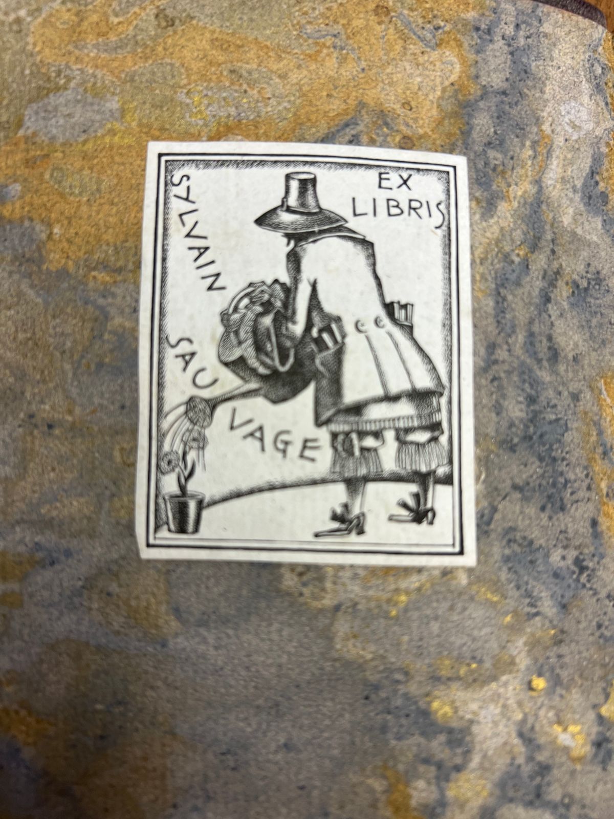 Les Fleurs du Mal - Charles Baudelaire - 1908 | Sylvain Sauvage