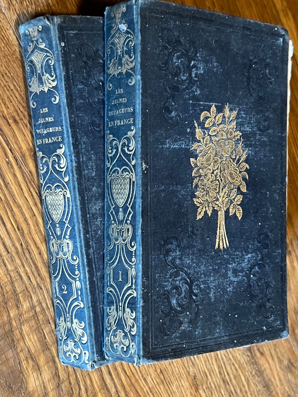 Les Jeunes Voyageurs en France - Victor-Adolphe Malte-Brun - 1841 |  Une approche pédagogique novatrice combinant géographie physique, historique et économique  | Aufildeslivres.fr
